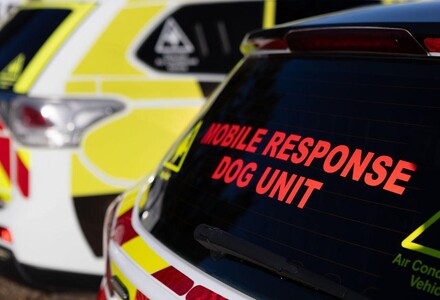 Residential Security and Mobile Dog Units